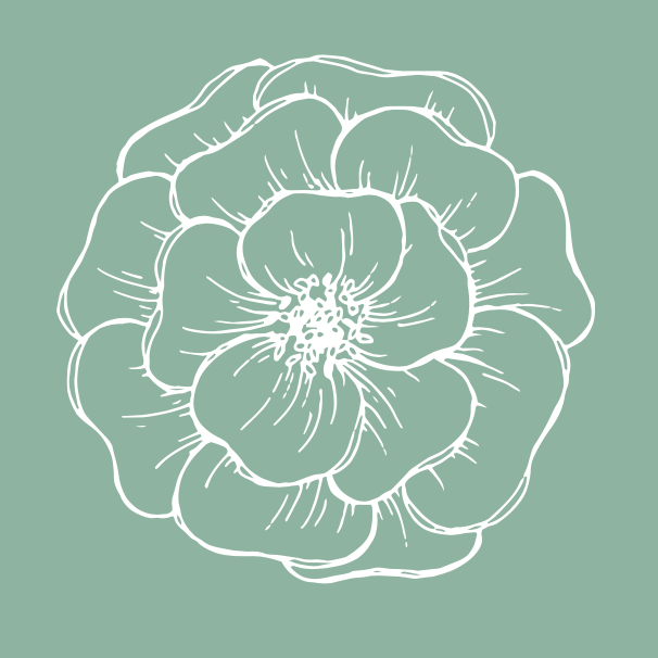 Large flower sketch