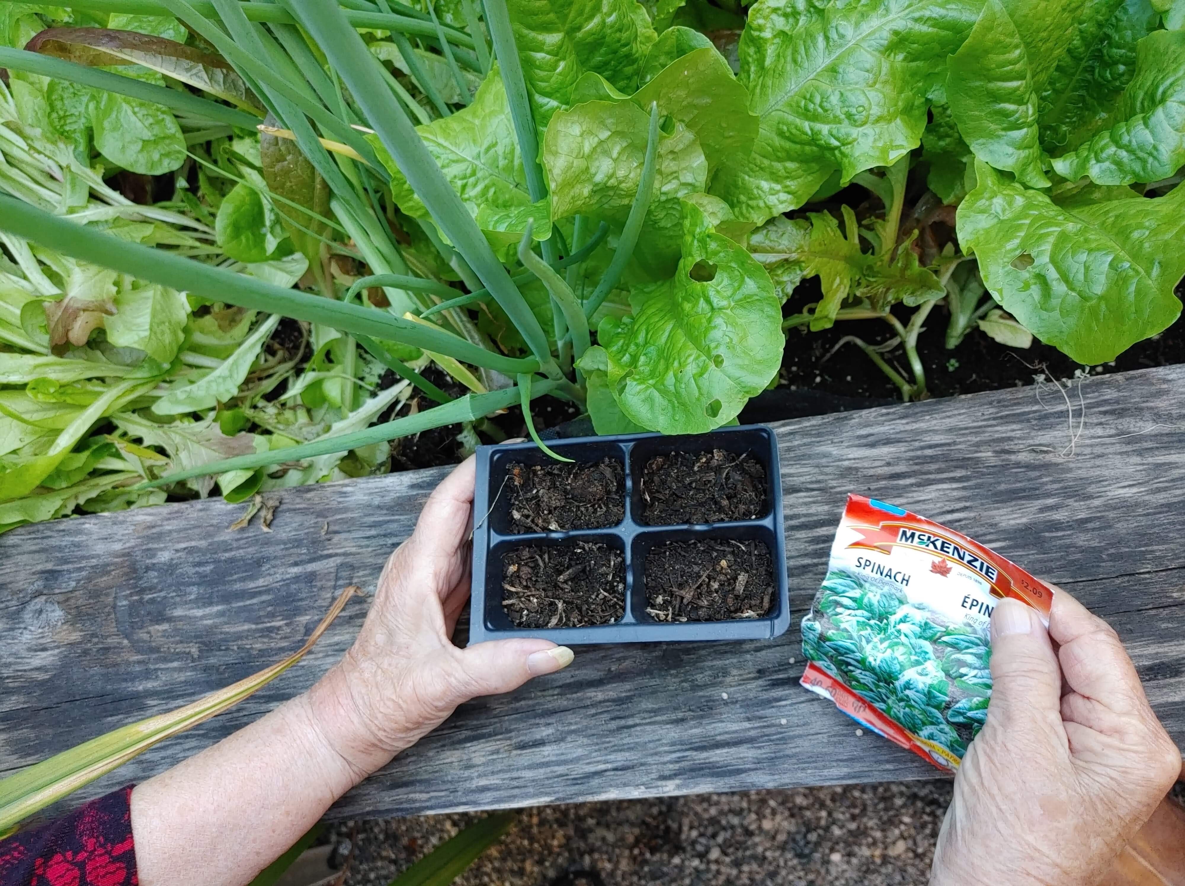 Woman Gardening